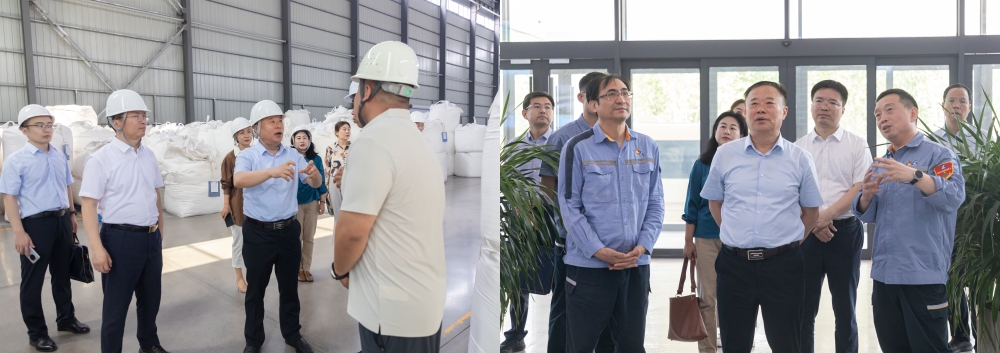 市领导朱正林来我区调研金属新材料产业链发展情况